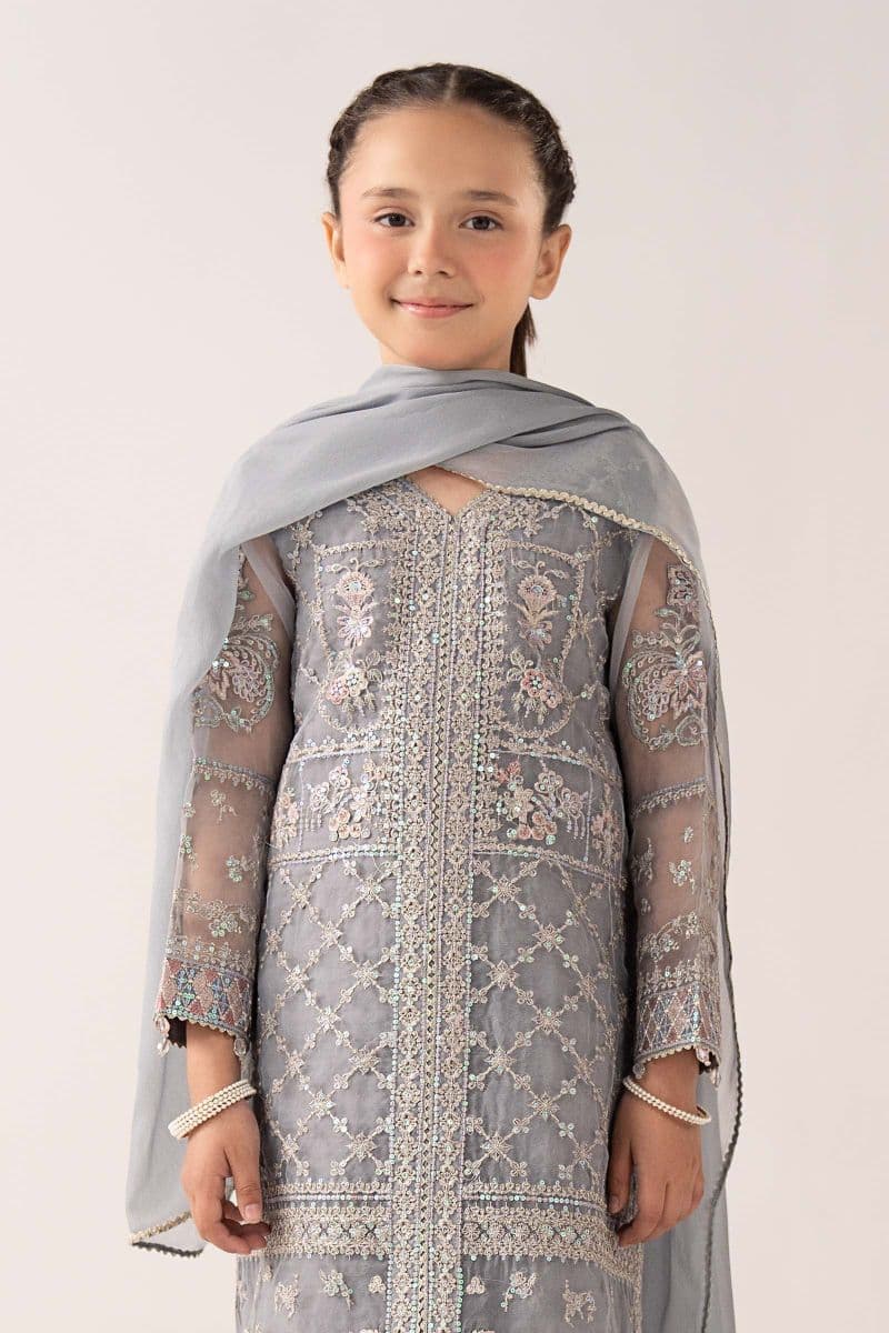 3 Piece Embroidered Organza Suit thumbnail