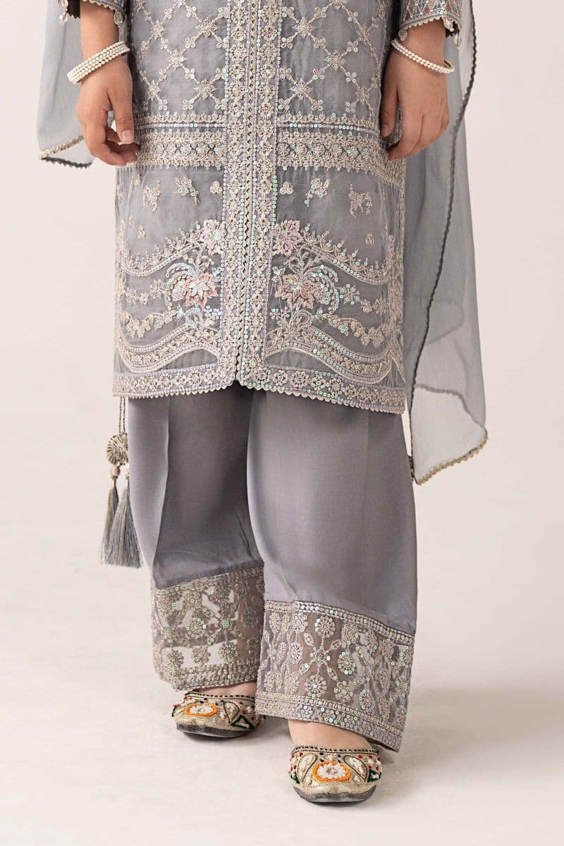 3 Piece Embroidered Organza Suit thumbnail