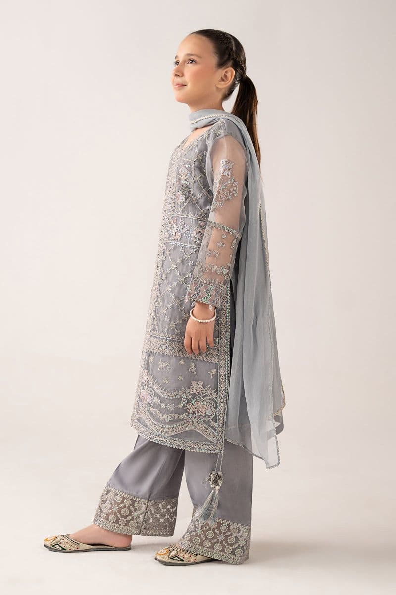 3 Piece Embroidered Organza Suit thumbnail
