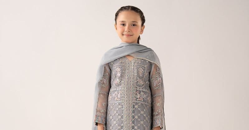 3 Piece Embroidered Organza Suit thumbnail