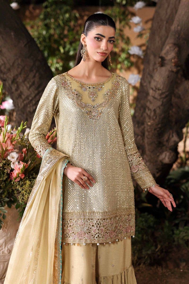 3 Piece Embroidered Chiffon Suit