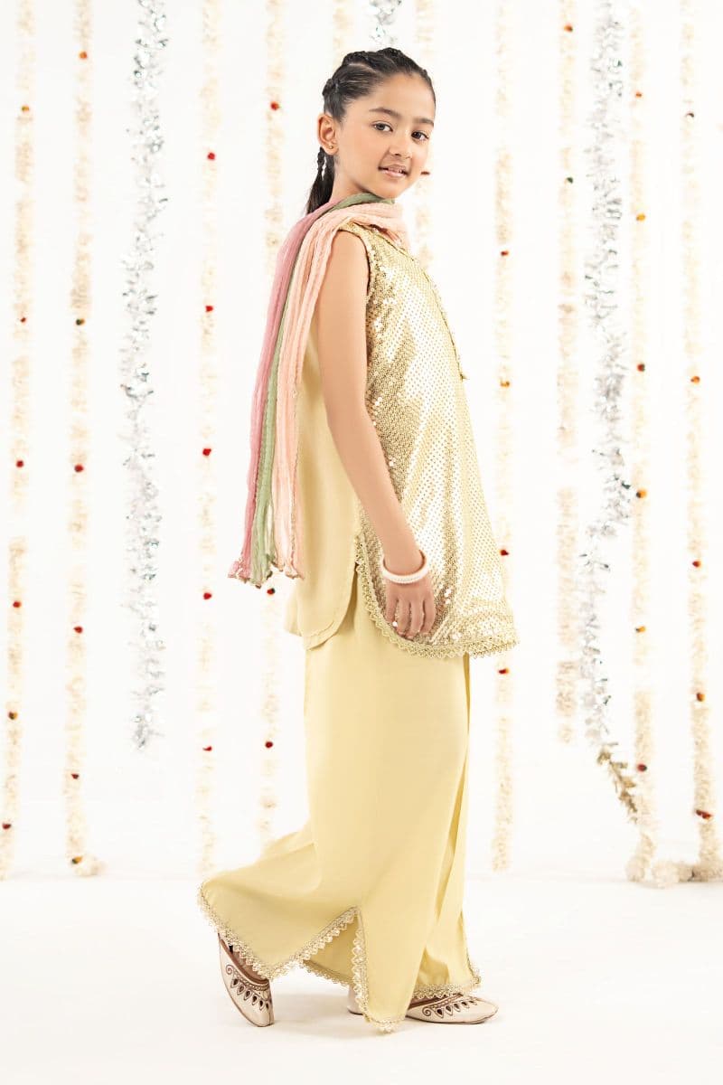 3 Piece Embroidered Chiffon Suit