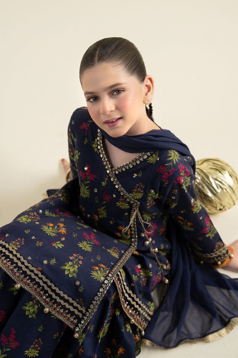 3 Piece Embroidered Khaddar Suit thumbnail