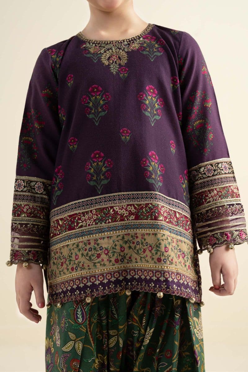 3 Piece Embroidered Khaddar Suit thumbnail
