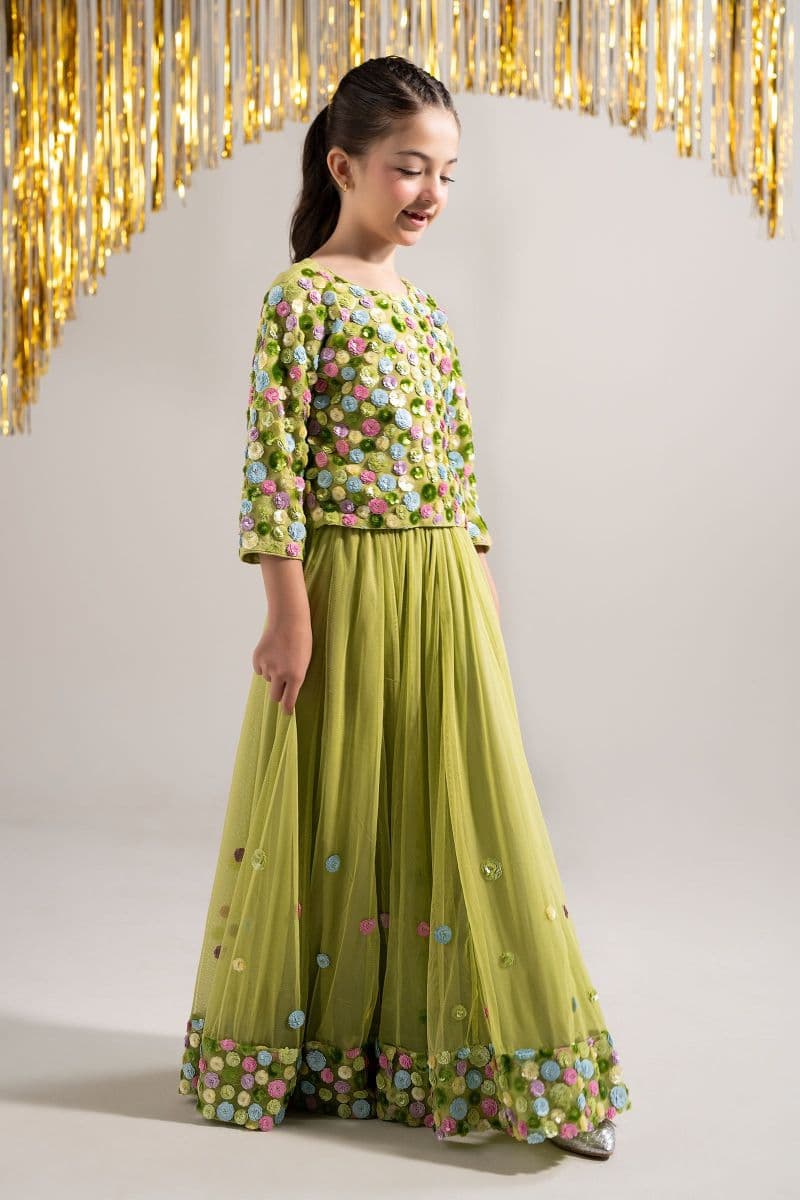 2 Piece Embroidered Net Suit thumbnail