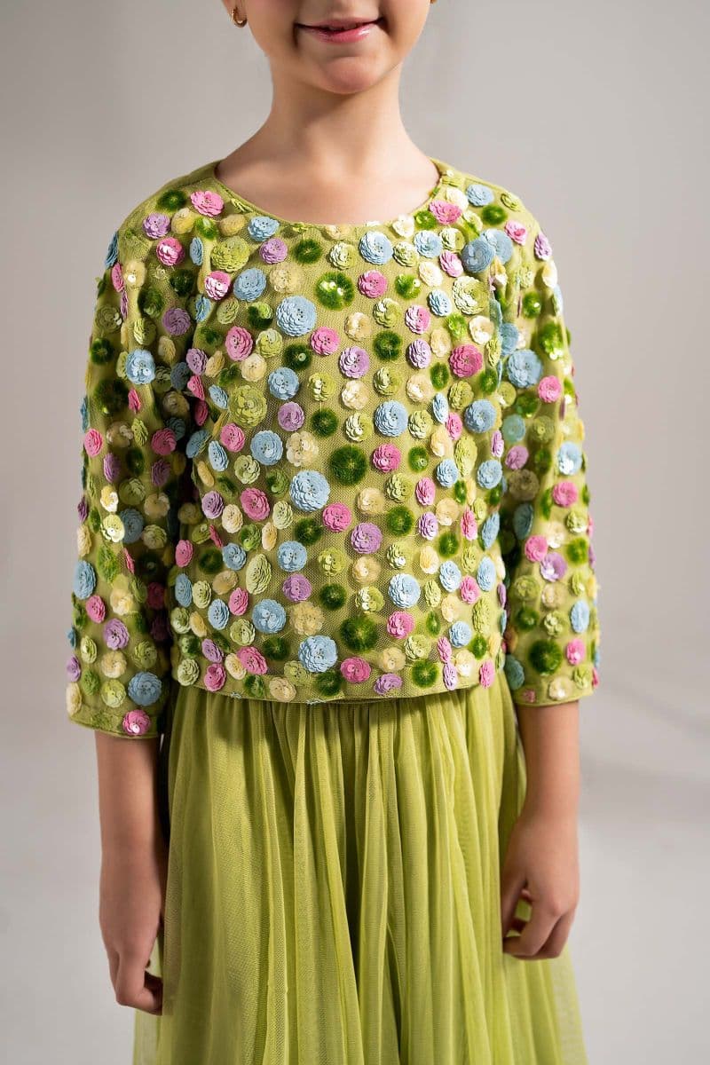 2 Piece Embroidered Net Suit thumbnail