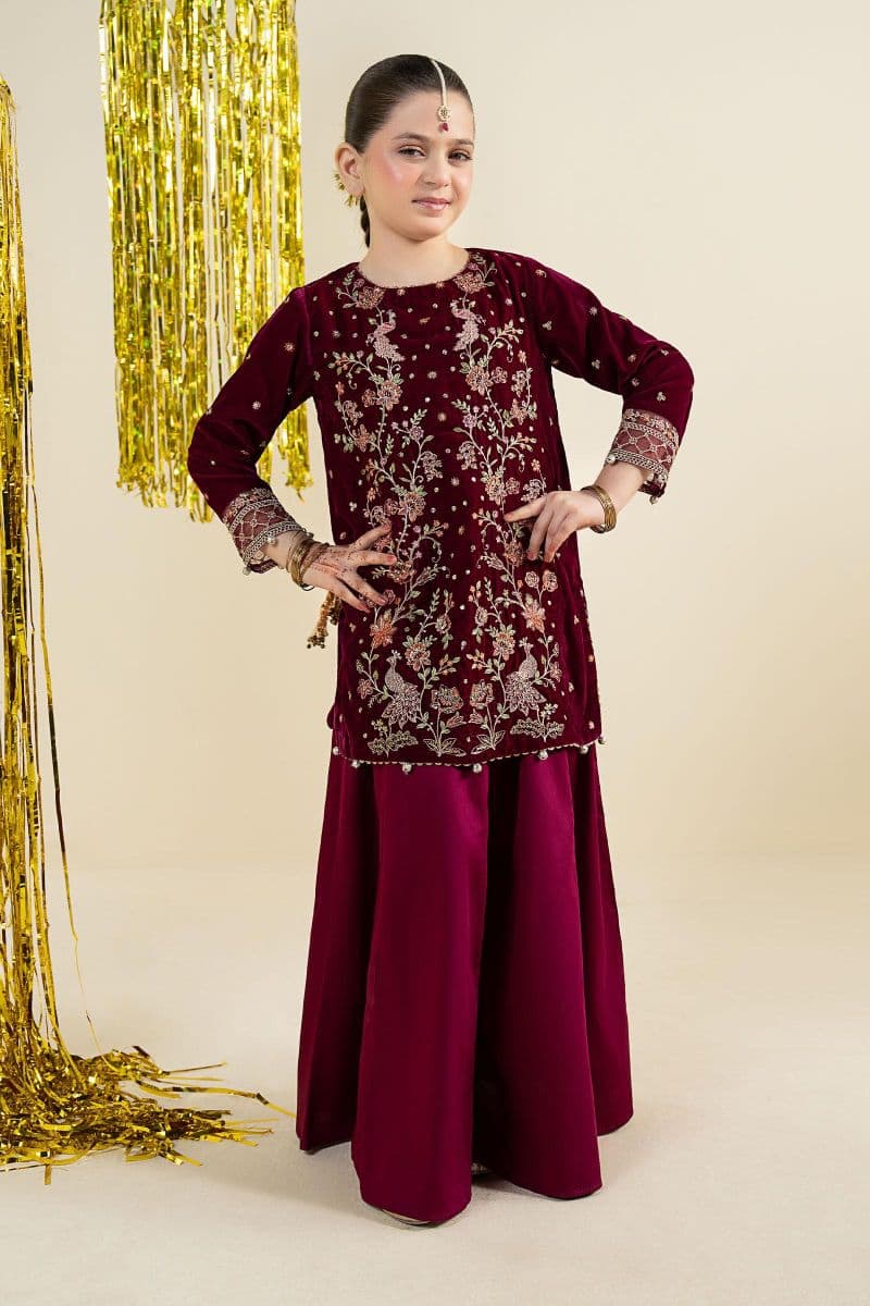2 Piece Embroidered Velvet Suit thumbnail