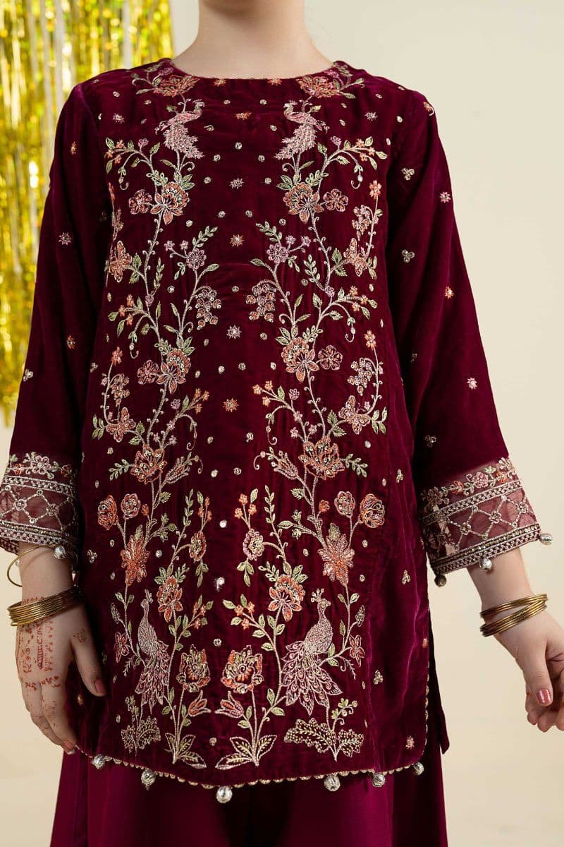 2 Piece Embroidered Velvet Suit thumbnail