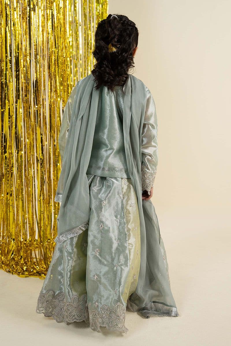 3 Piece Embroidered Tissue Suit