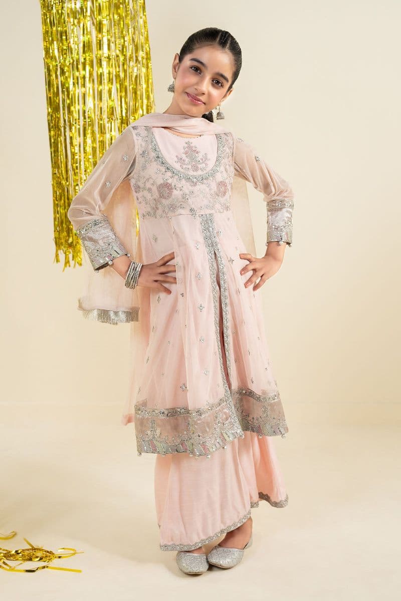 3 Piece Embroidered Net Suit thumbnail