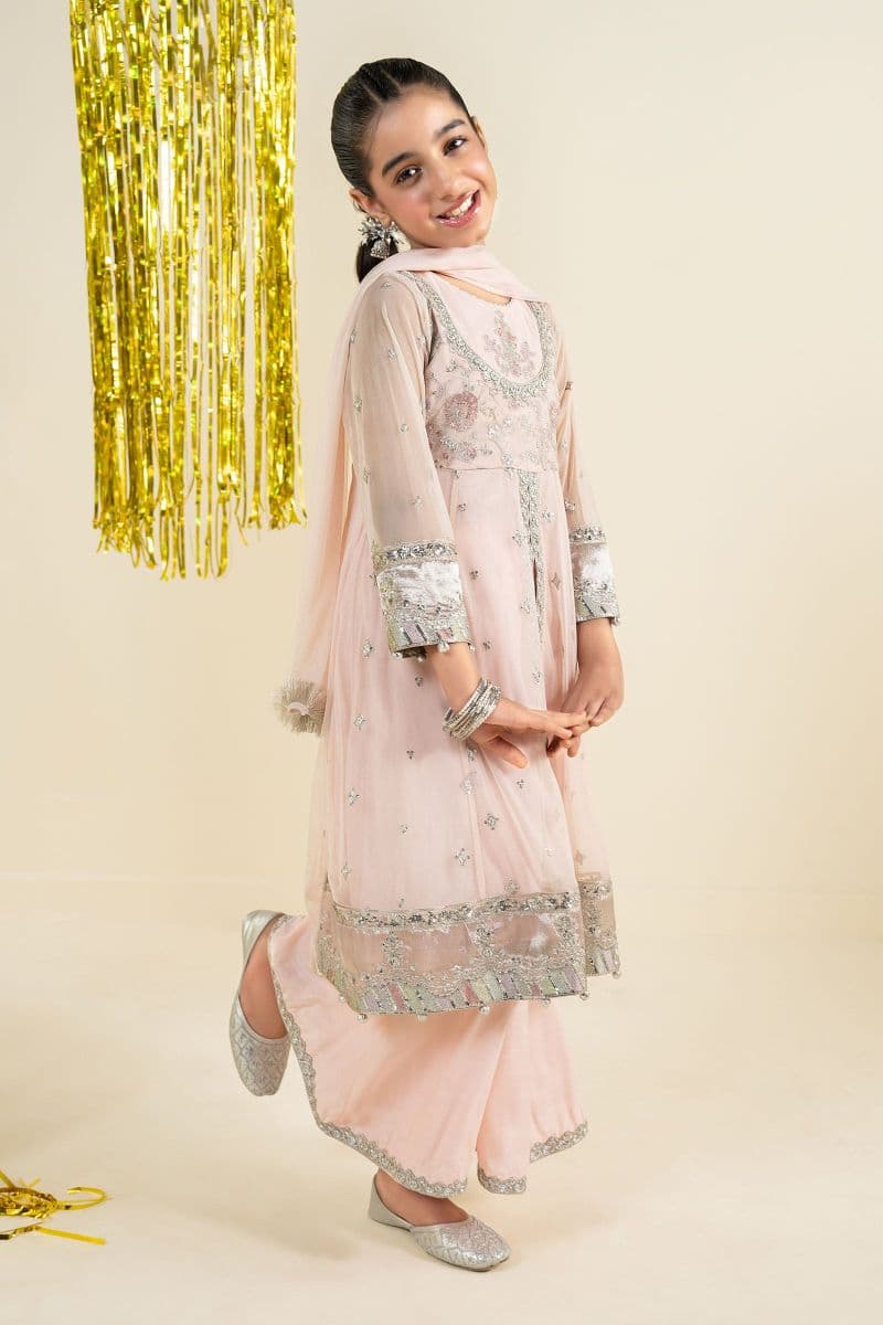 3 Piece Embroidered Net Suit thumbnail
