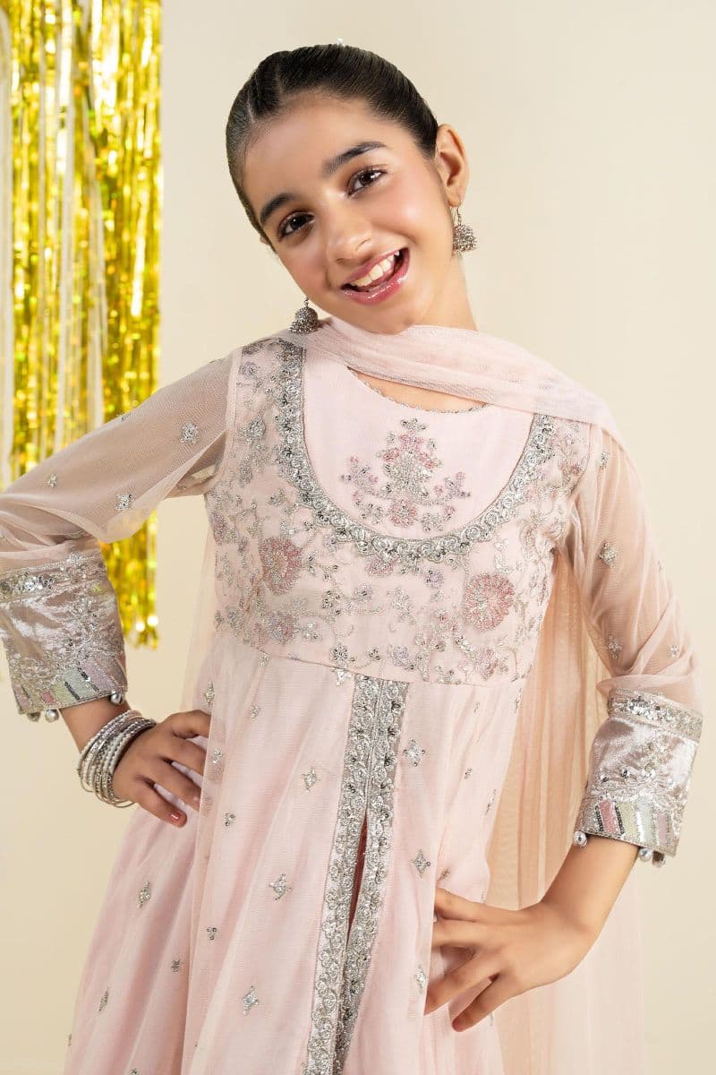 3 Piece Embroidered Net Suit thumbnail