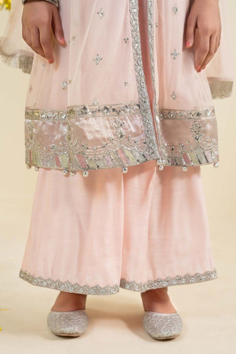 3 Piece Embroidered Net Suit thumbnail