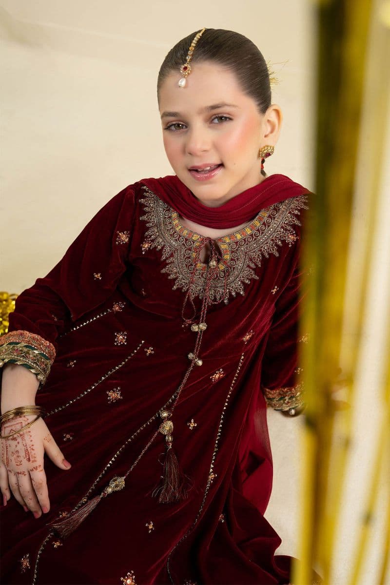 3 Piece Embroidered Velvet Suit thumbnail