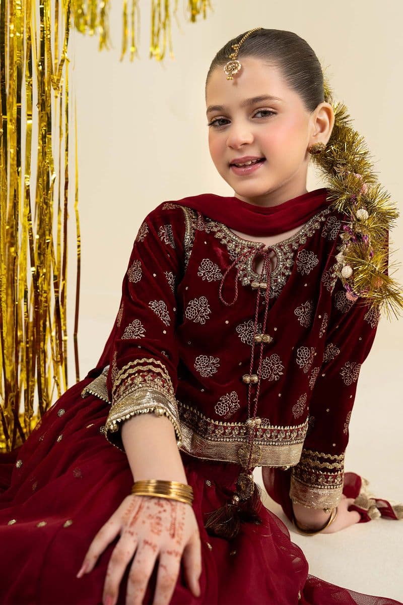 3 Piece Embroidered Net Suit thumbnail