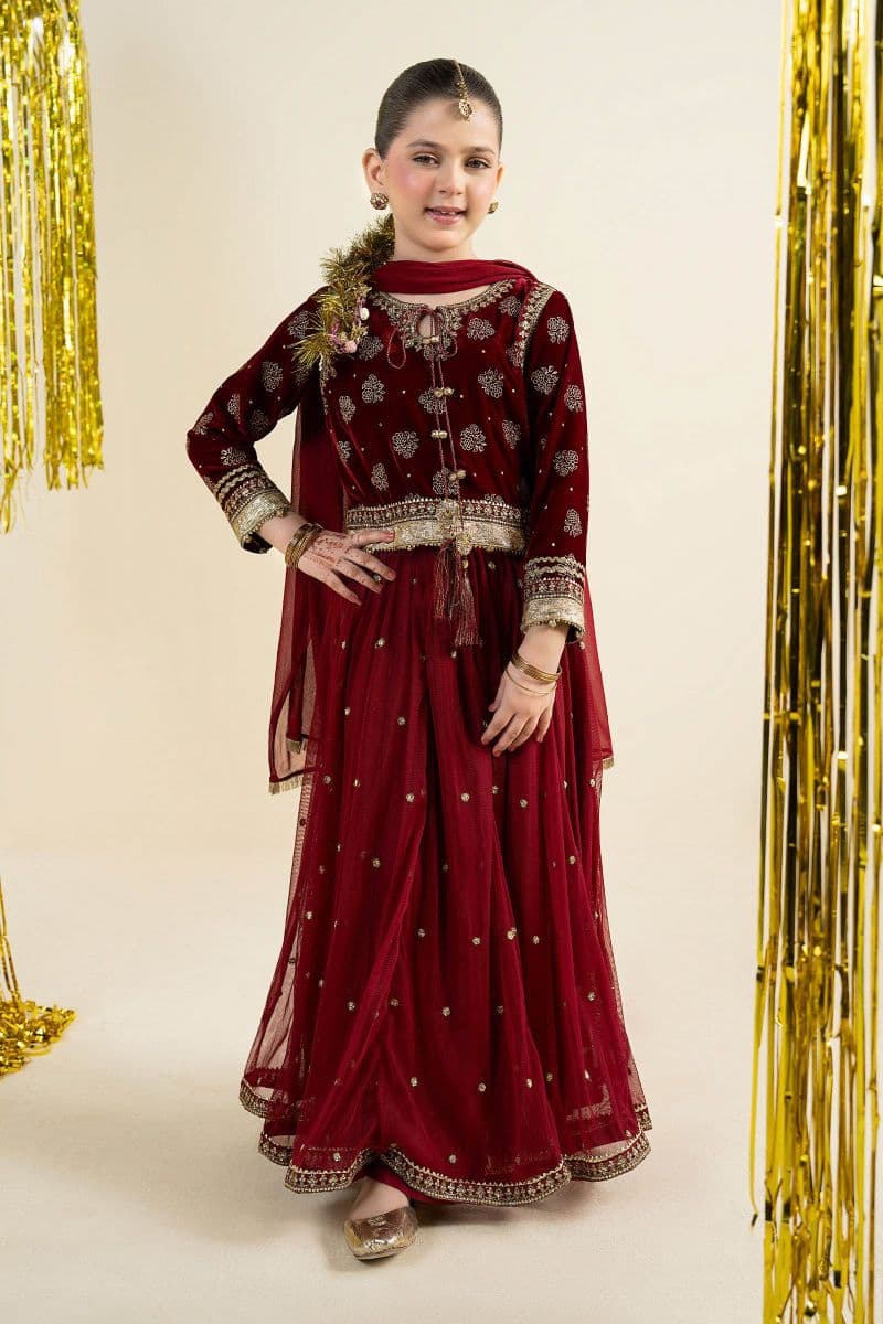 3 Piece Embroidered Net Suit thumbnail