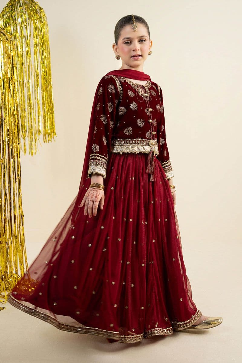 3 Piece Embroidered Net Suit thumbnail