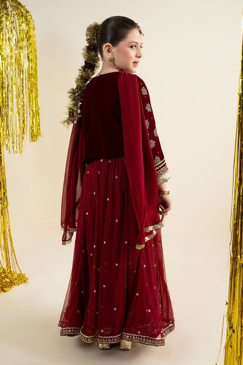 3 Piece Embroidered Net Suit thumbnail