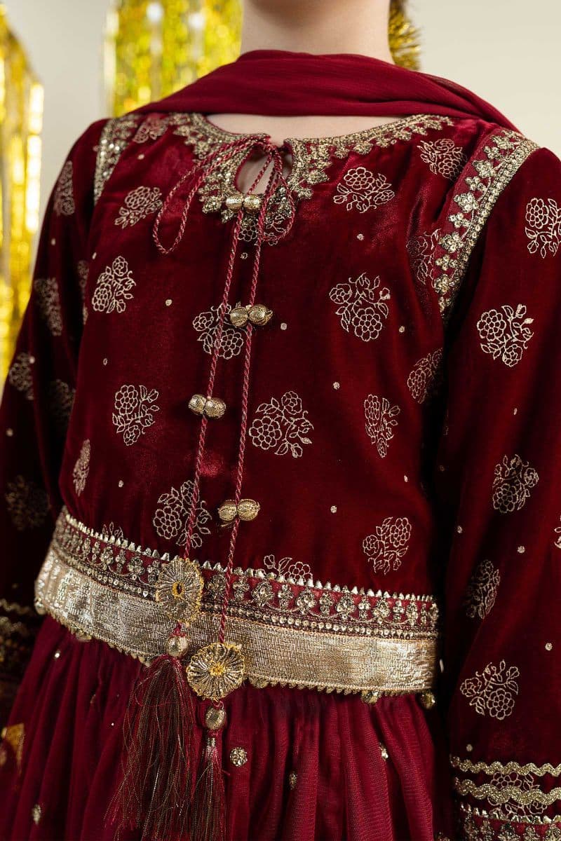 3 Piece Embroidered Net Suit thumbnail