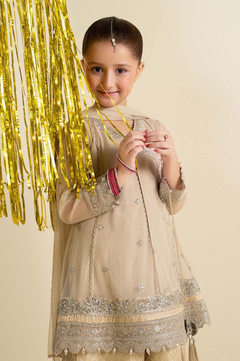 3 Piece Embroidered Net Suit thumbnail