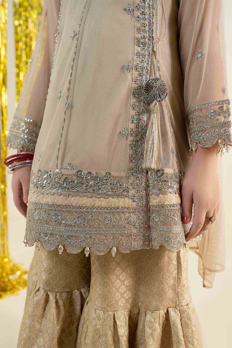 3 Piece Embroidered Net Suit thumbnail