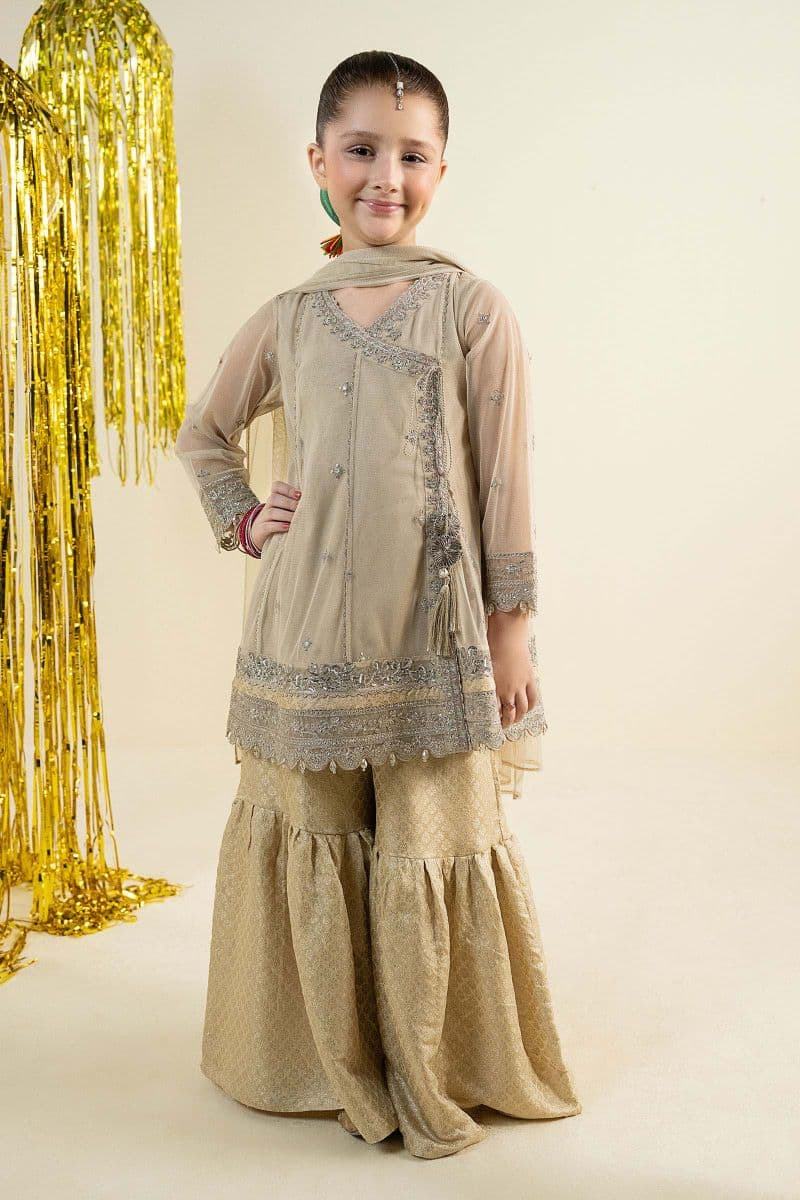 3 Piece Embroidered Net Suit thumbnail