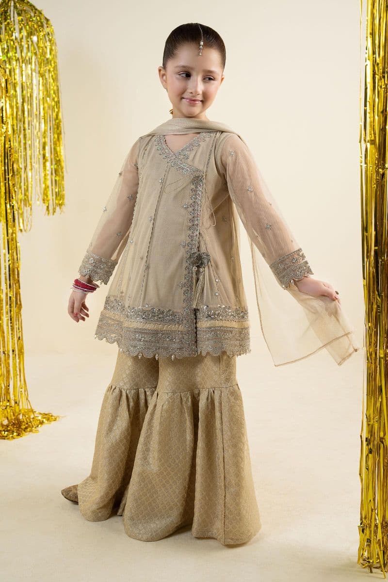 3 Piece Embroidered Net Suit thumbnail