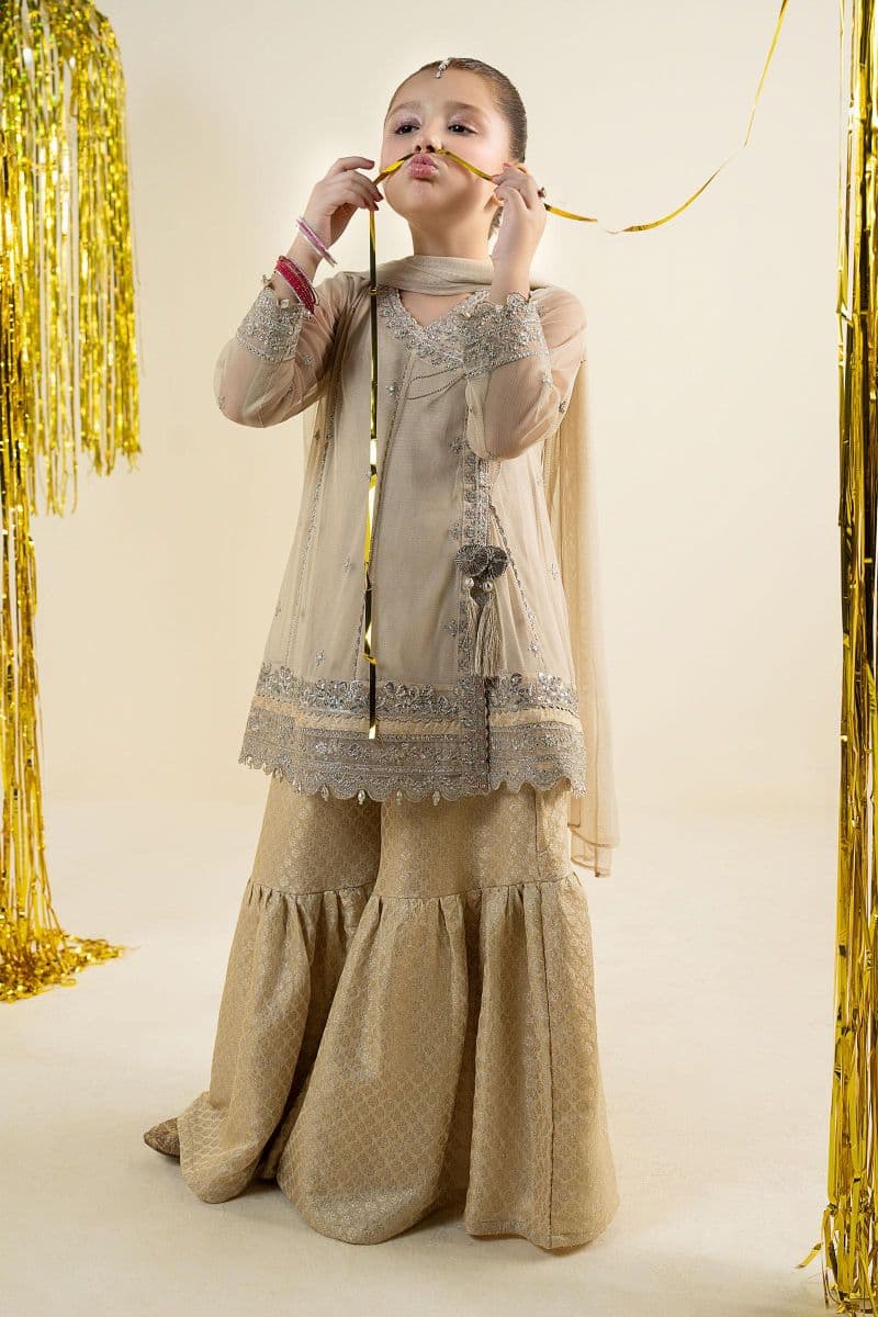 3 Piece Embroidered Net Suit thumbnail