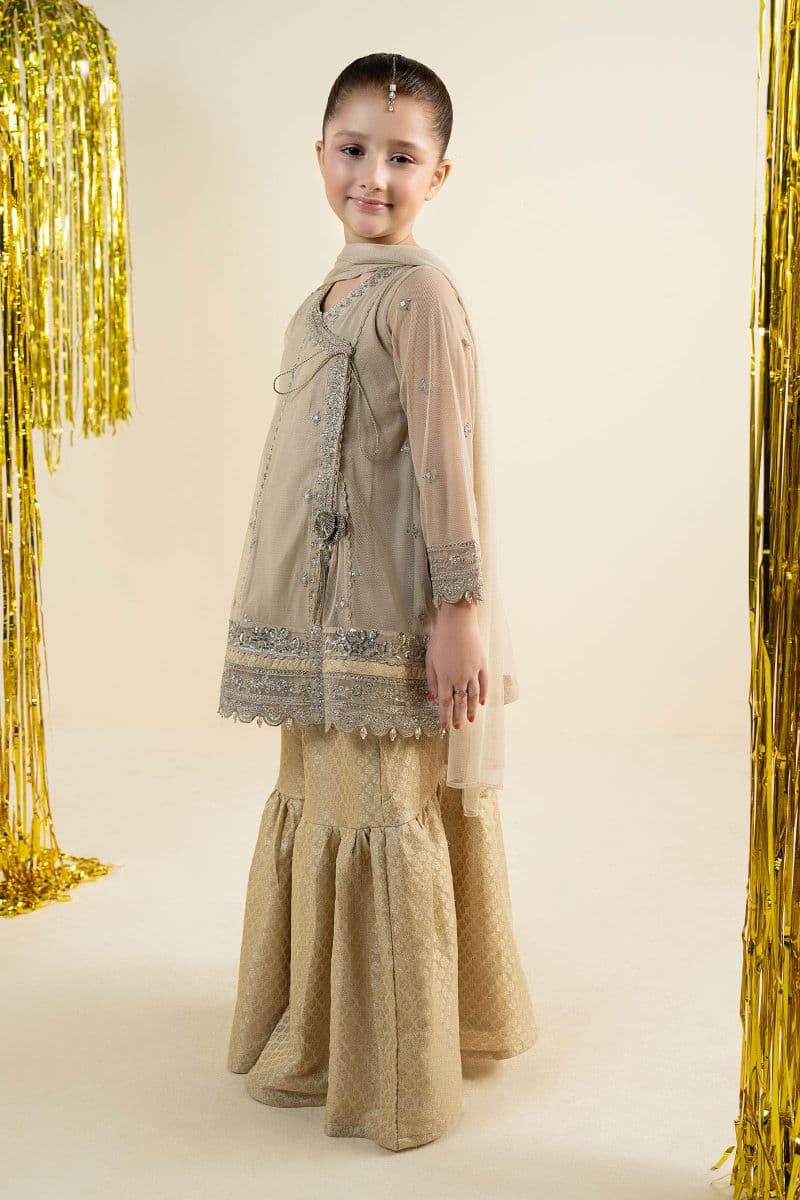 3 Piece Embroidered Net Suit thumbnail