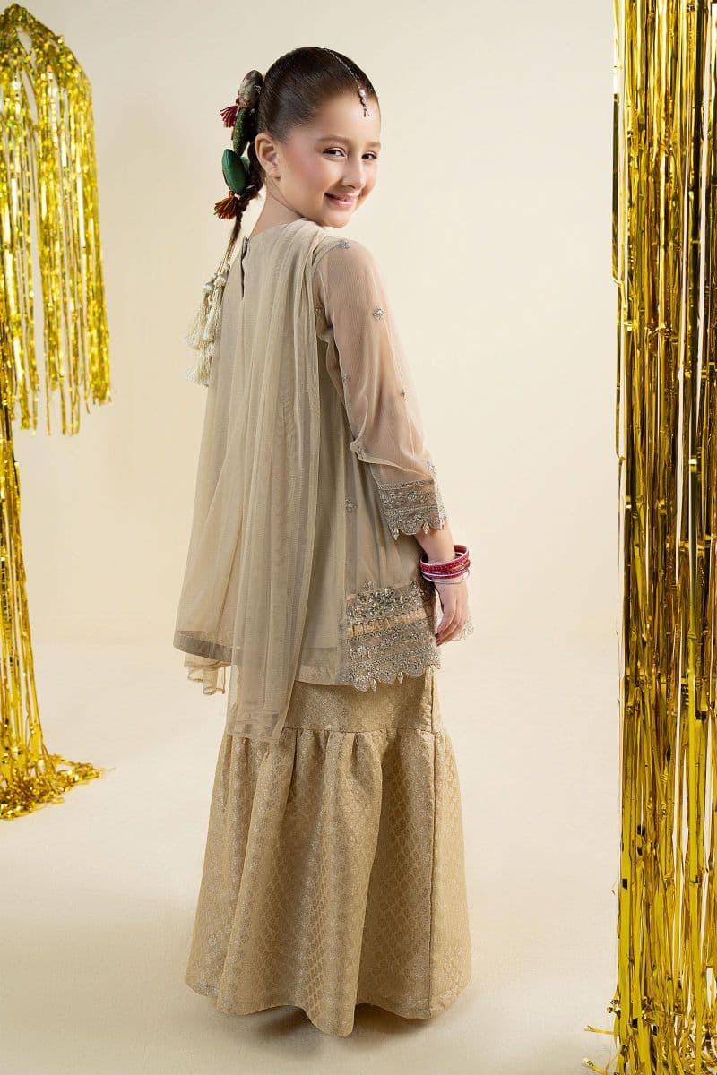 3 Piece Embroidered Net Suit thumbnail