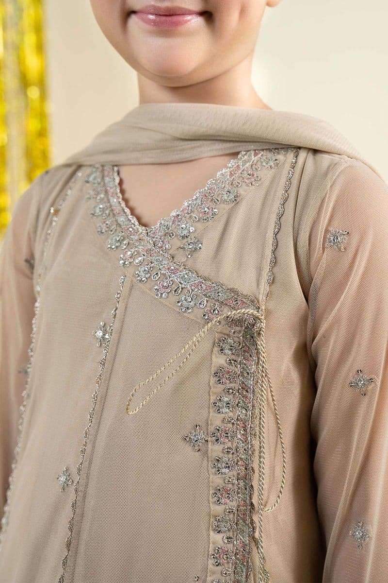 3 Piece Embroidered Net Suit thumbnail