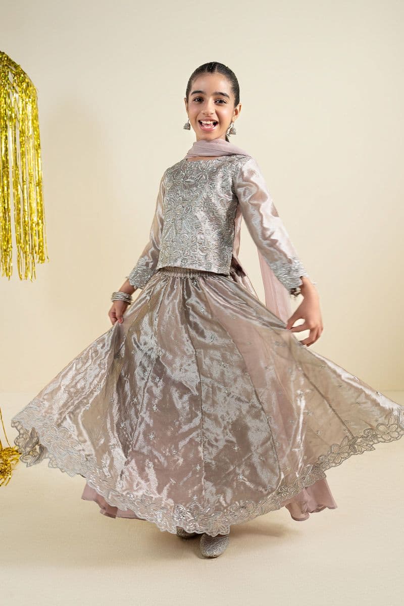 3 Piece Embroidered Tissue Suit