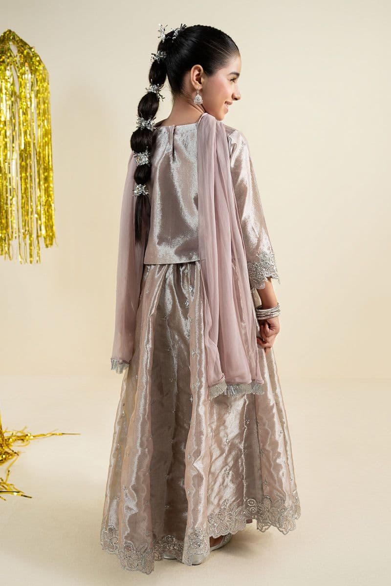 3 Piece Embroidered Tissue Suit