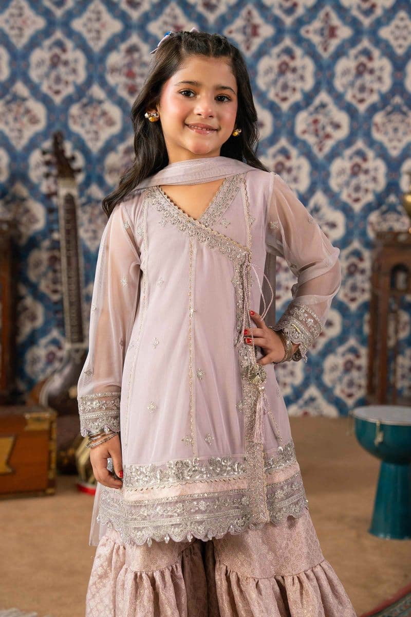 3 Piece Embroidered Net Suit thumbnail