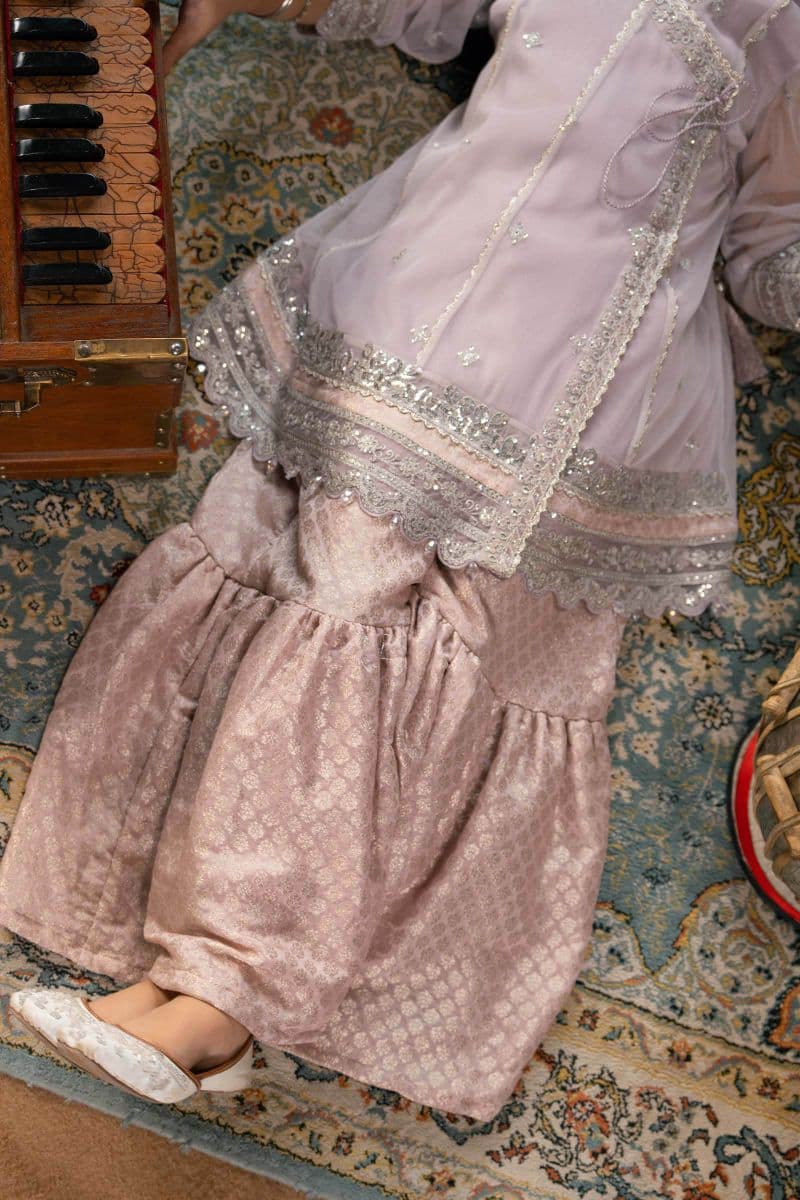 3 Piece Embroidered Net Suit thumbnail