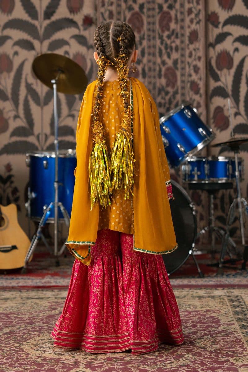 3 Piece Embroidered Raw Silk Suit thumbnail