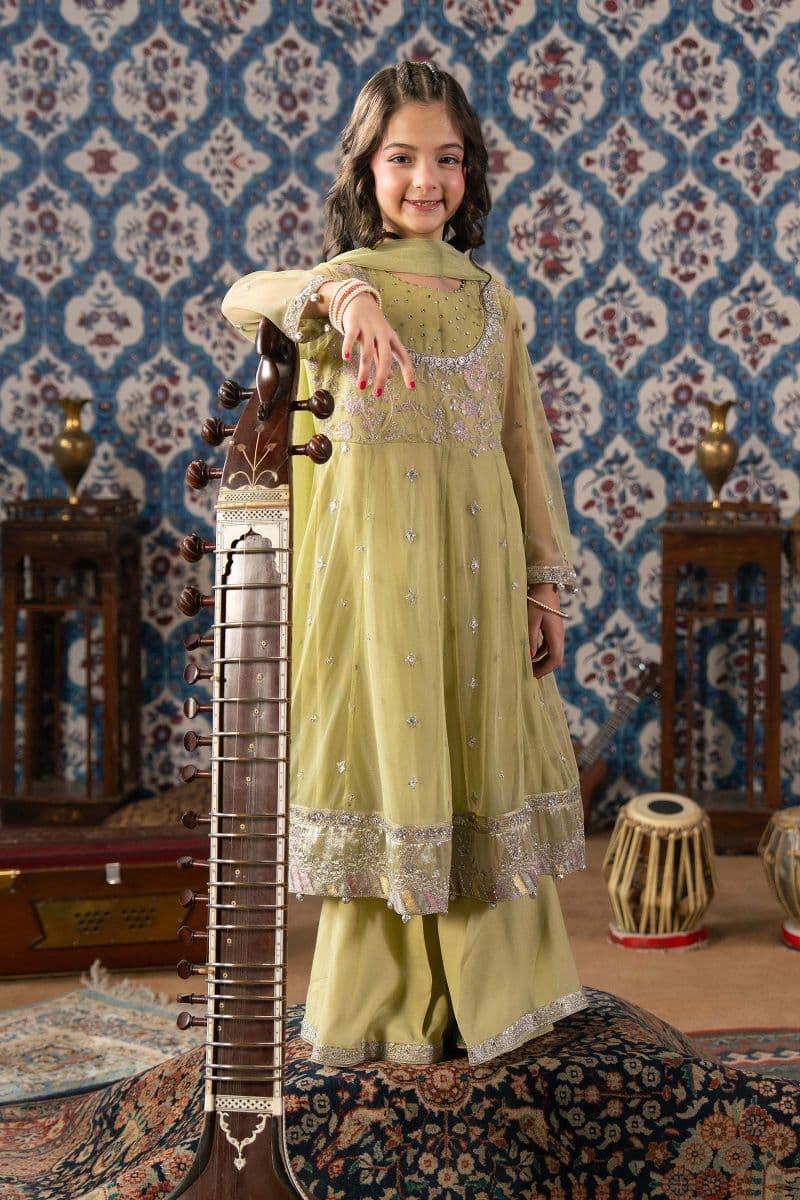 3 Piece Embroidered Net Suit thumbnail
