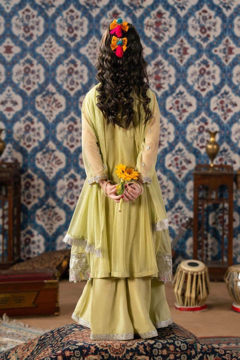 3 Piece Embroidered Net Suit thumbnail