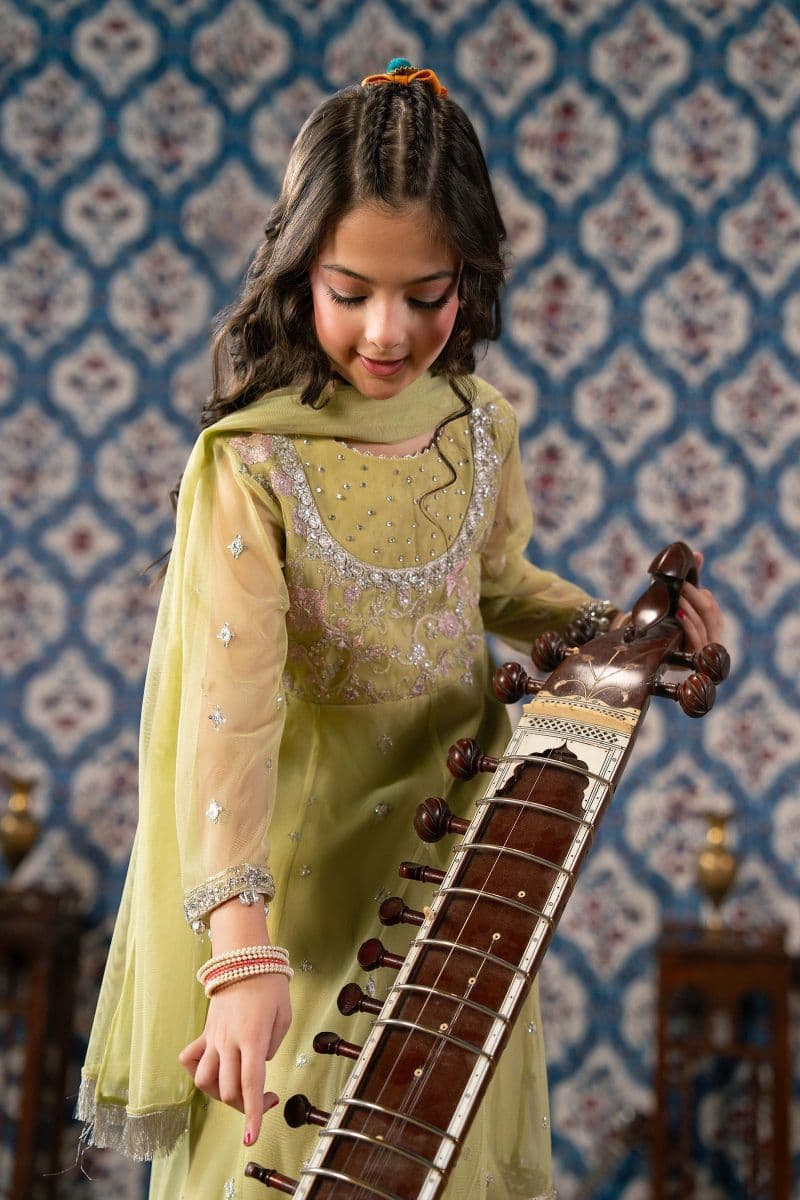 3 Piece Embroidered Net Suit thumbnail