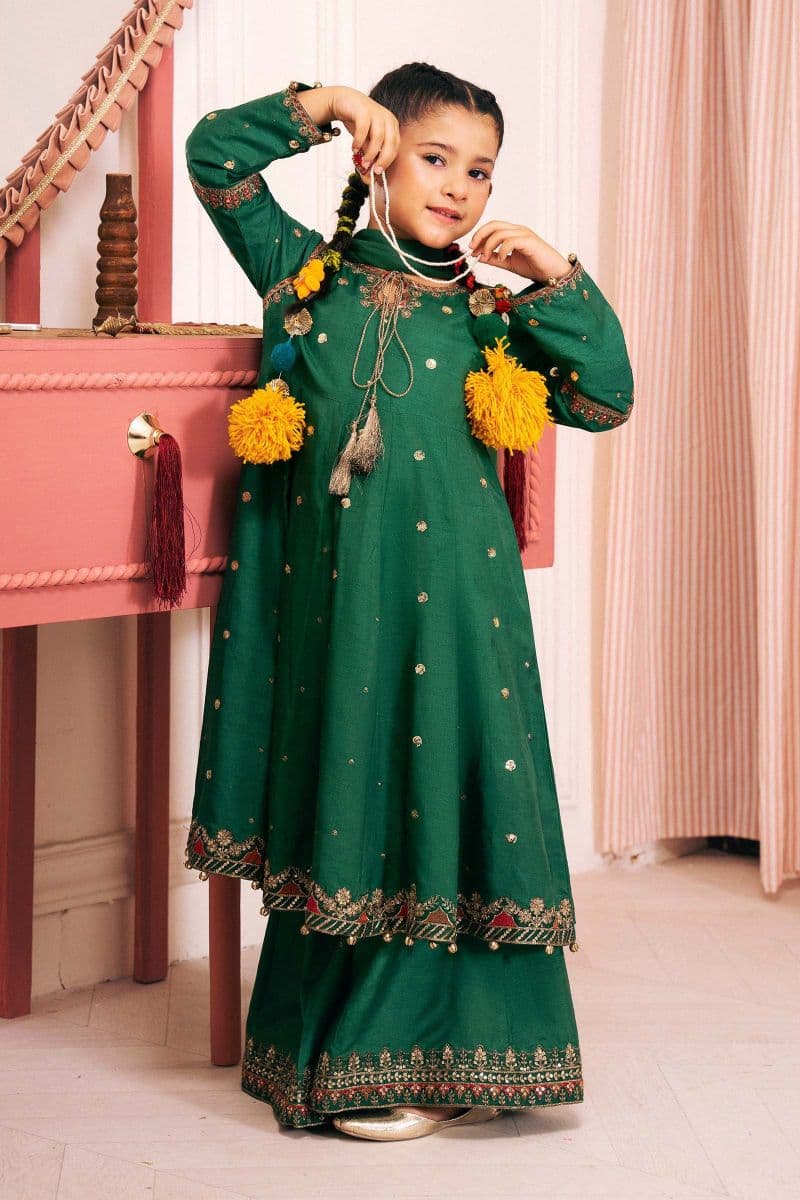 3 Piece Embroidered Bamberg Raw Silk Suit thumbnail