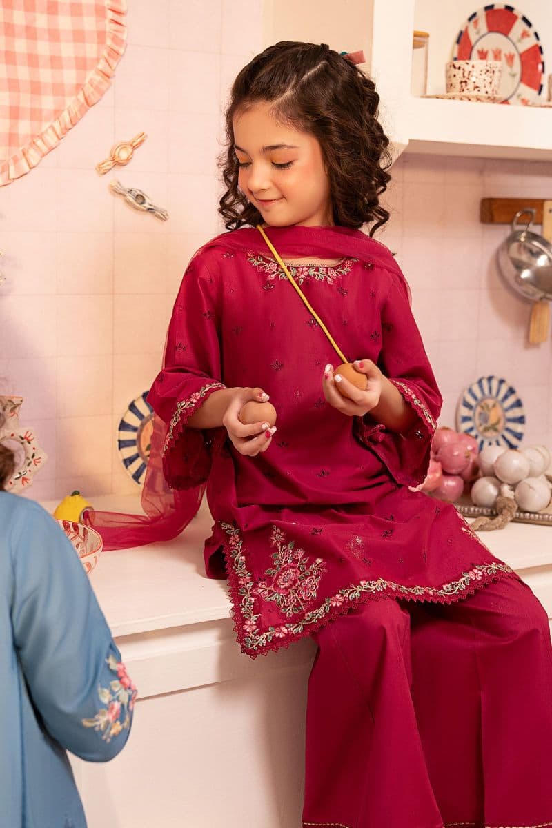 3 Piece Embroidered Lawn Suit thumbnail