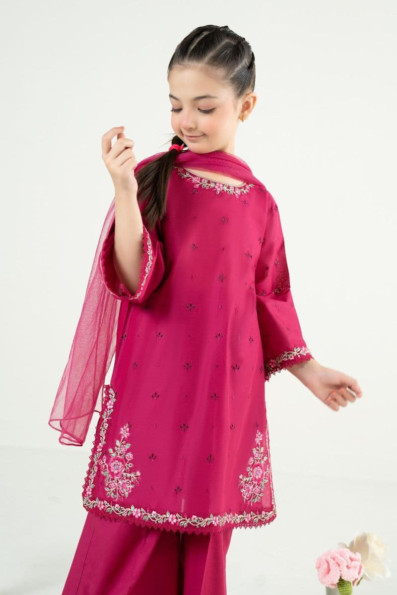 3 Piece Embroidered Lawn Suit thumbnail