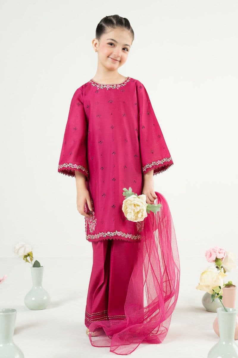 3 Piece Embroidered Lawn Suit thumbnail