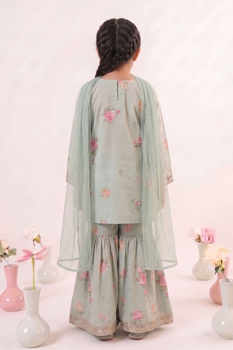 3 Piece Embroidered Lawn Suit thumbnail