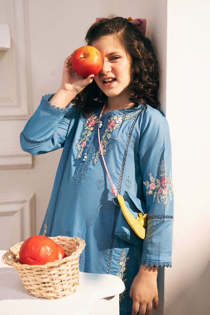 3 Piece Embroidered Lawn Suit