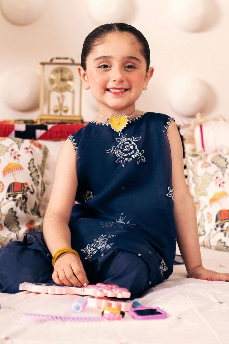 3 Piece Embroidered Organza Suit thumbnail