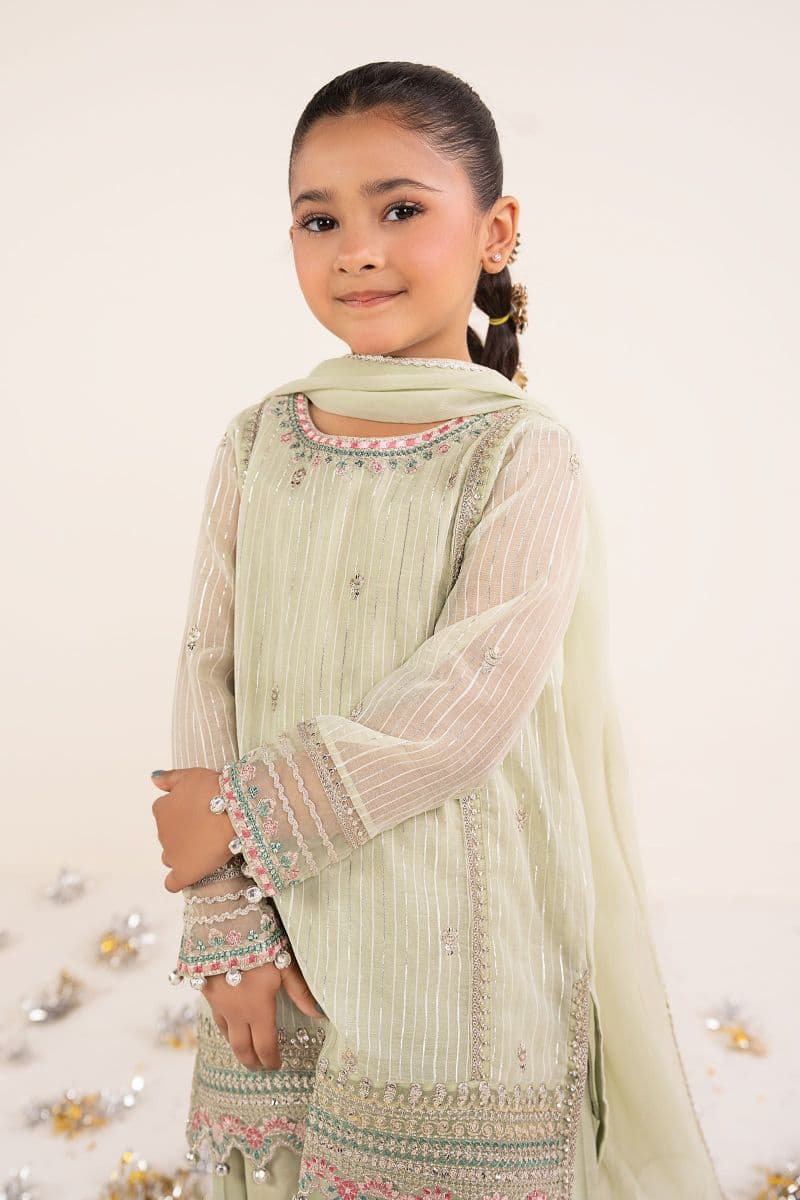 3 Piece Embroidered Yarn Dyed Suit thumbnail