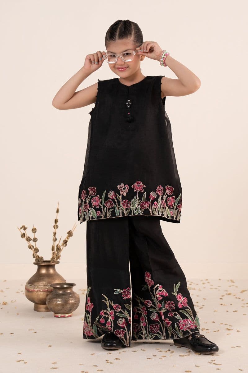 2 Piece Embroidered Organza Suit