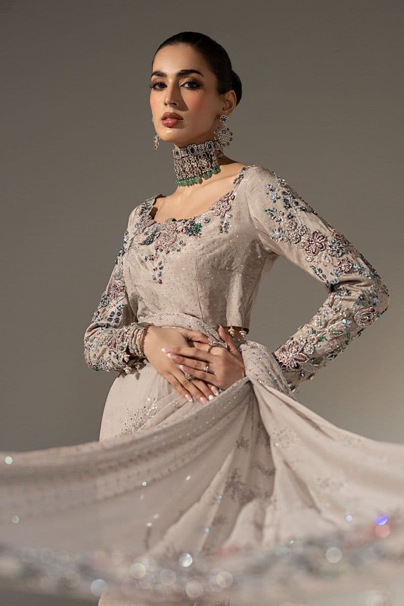 Embroidered Chiffon Saree