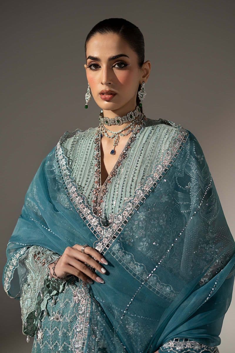 3 Piece Embroidered Organza Suit thumbnail